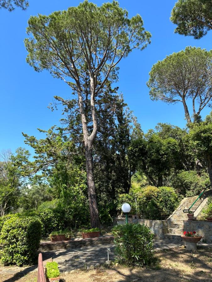 Appartamenti Portiglioni-Belvedere Puntone di Scarlino Zewnętrze zdjęcie
